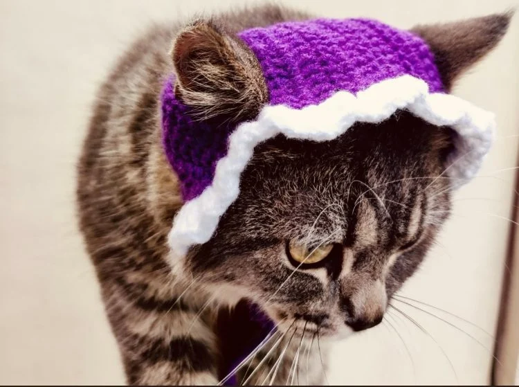 Cute Crochet Cat Hat Patterns