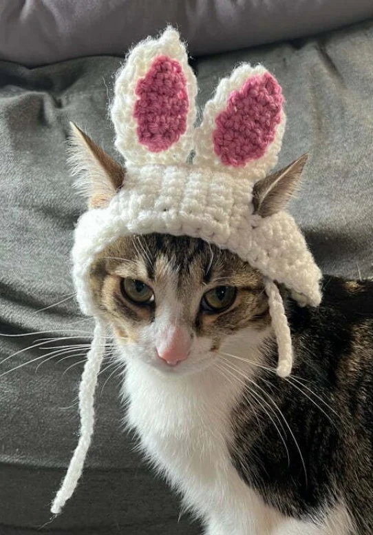Cute Crochet Cat Hat Patterns