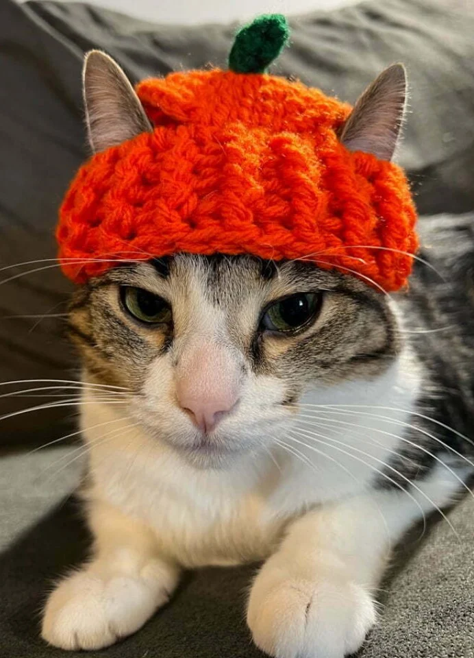 Cute Crochet Cat Hat Patterns