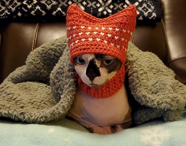 Cute Crochet Cat Hat Patterns