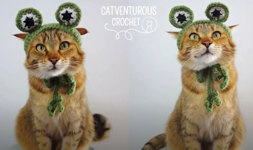 Cute Crochet Cat Hat Patterns