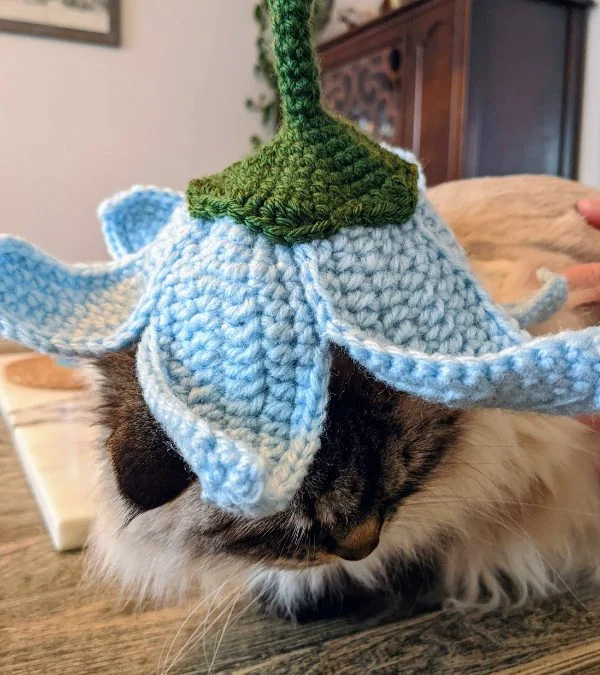 Cute Crochet Cat Hat Patterns