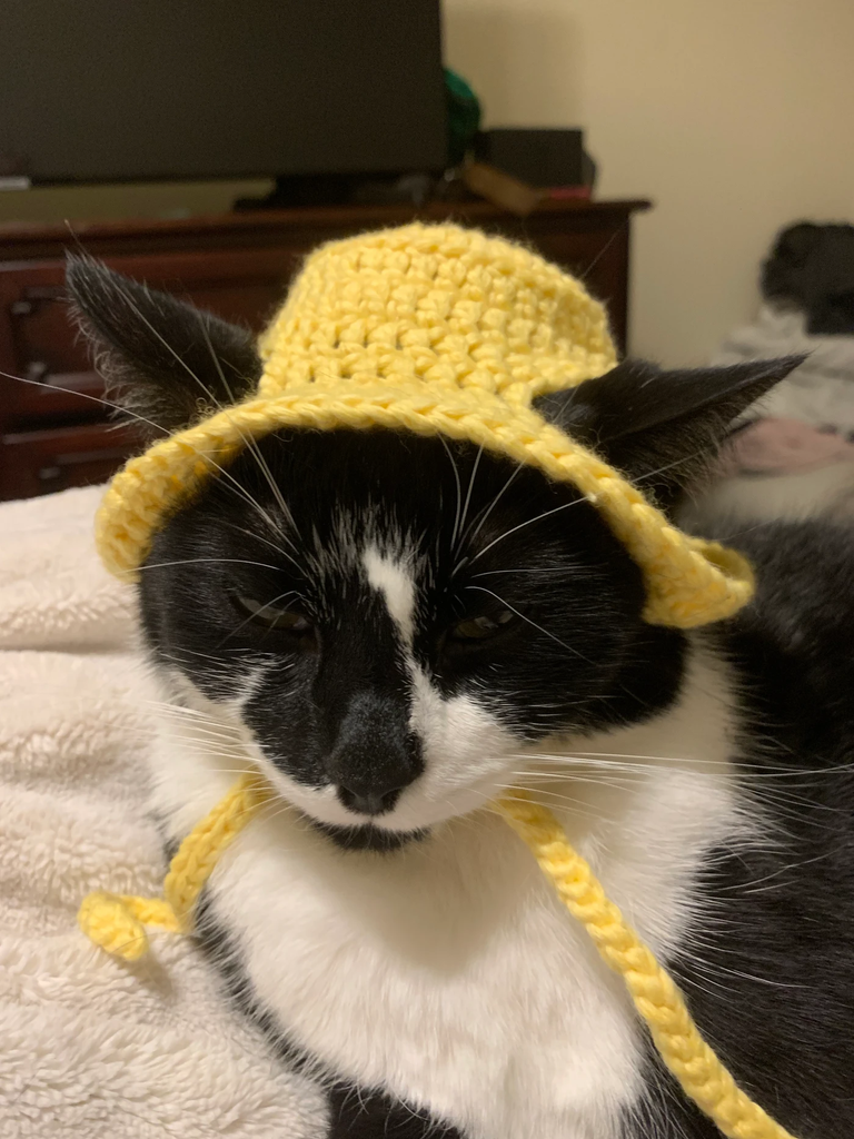 Cute Crochet Cat Hat Patterns