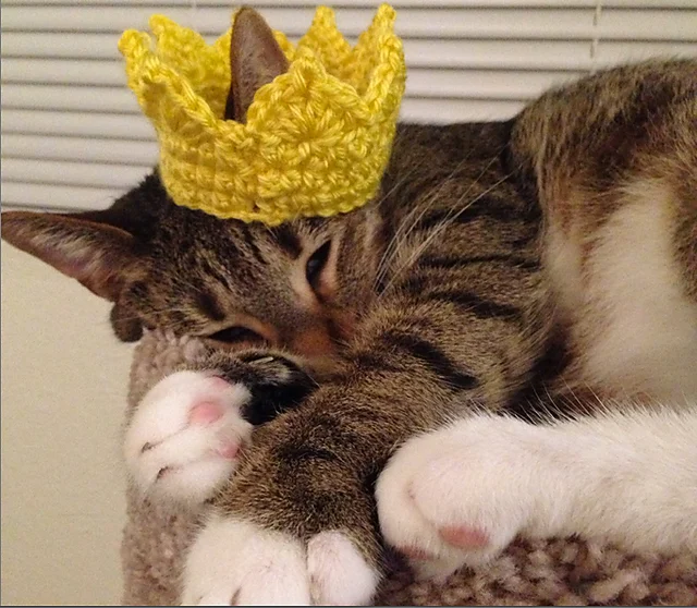 Cute Crochet Cat Hat Patterns