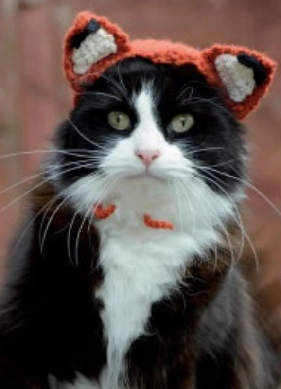 Cute Crochet Cat Hat Patterns