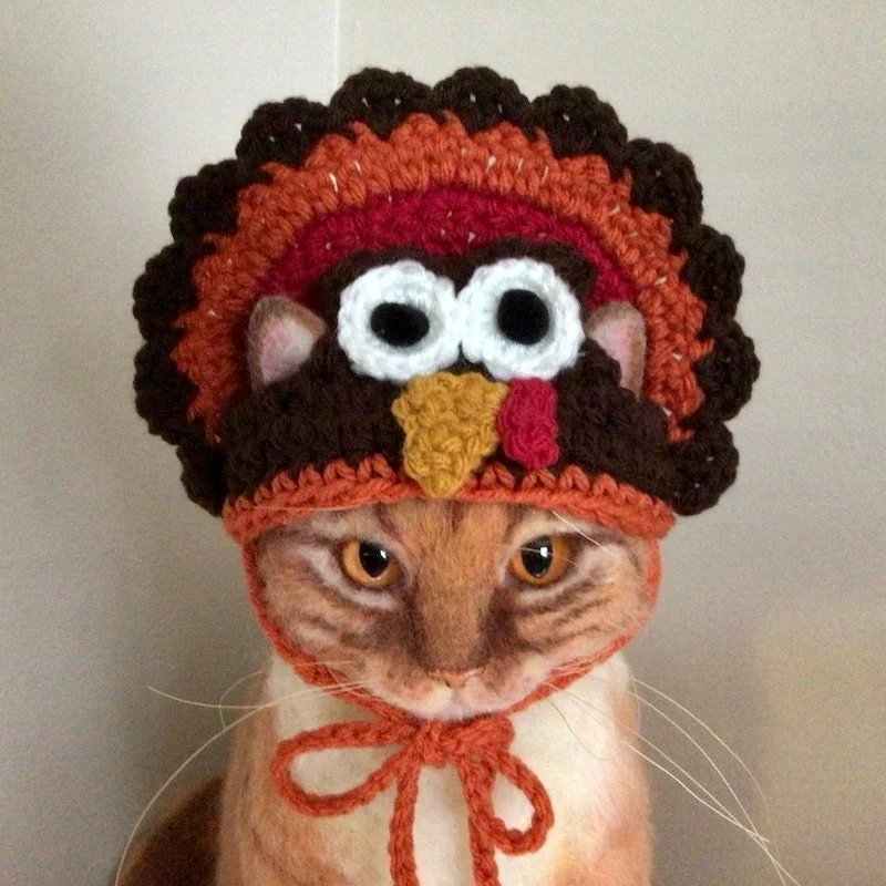 Cute Crochet Cat Hat Patterns
