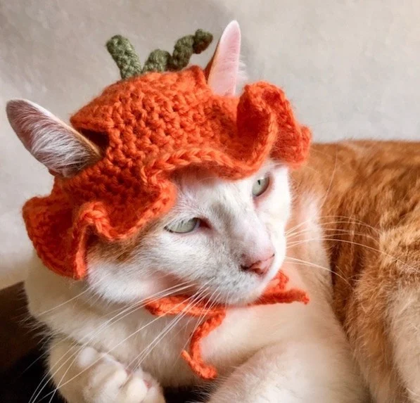 Cute Crochet Cat Hat Patterns