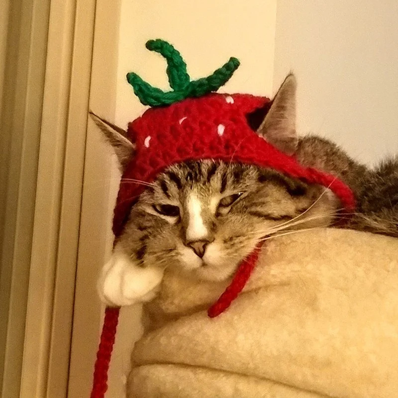 Cute Crochet Cat Hat Patterns