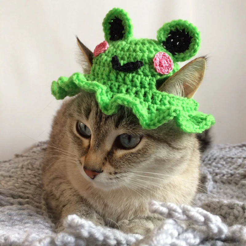 Cute Crochet Cat Hat Patterns