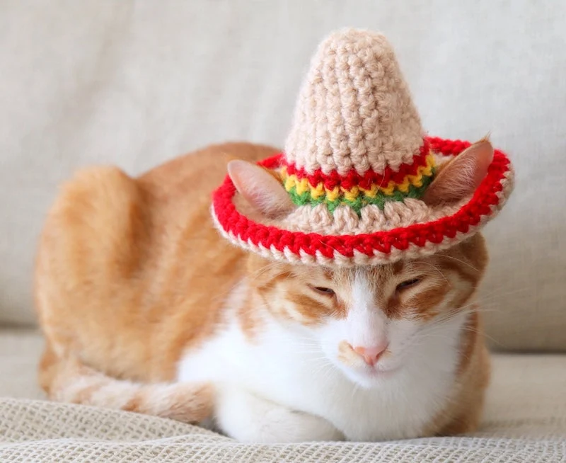 Cute Crochet Cat Hat Patterns