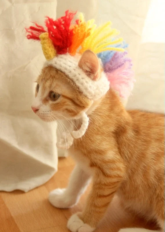 Cute Crochet Cat Hat Patterns