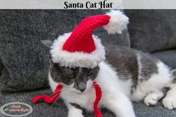Cute Crochet Cat Hat Patterns