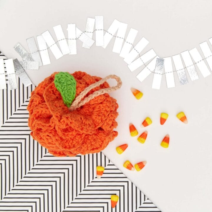 25 Fall Crafts Crochet Ideas