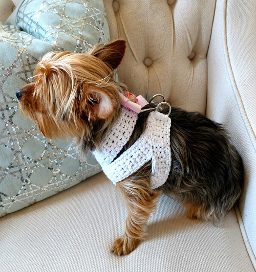 6 Free Crochet Dog Harness Patterns